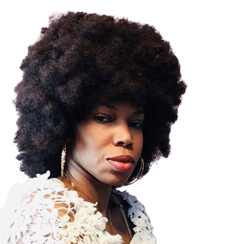 Beautiful Highlighted Hair Kinky Curly Wig Two Color To Choose From